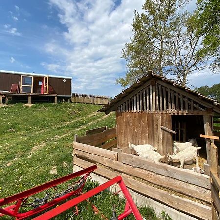 Maringotka Na Samote Na Kozi Farme Hotel Pobezovice Exterior foto